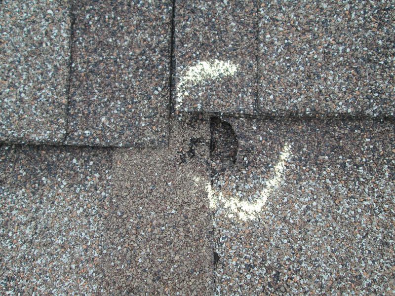 Roof Damage Repair Service