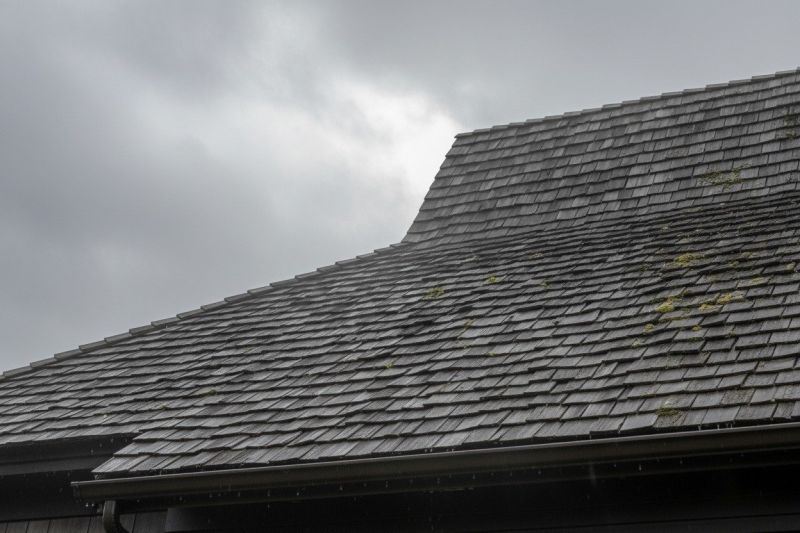Cedar Shake Roof Replacement in Fredericksburg, VA