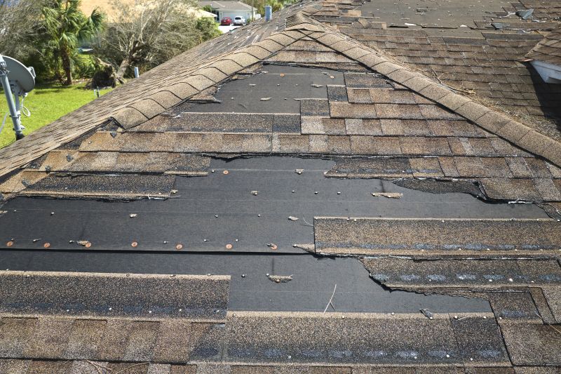 Damaged Shingles