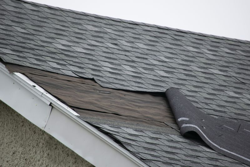 Repaired Roof with New Shingles