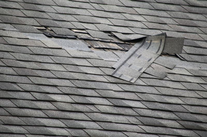 Damaged Roof Surface