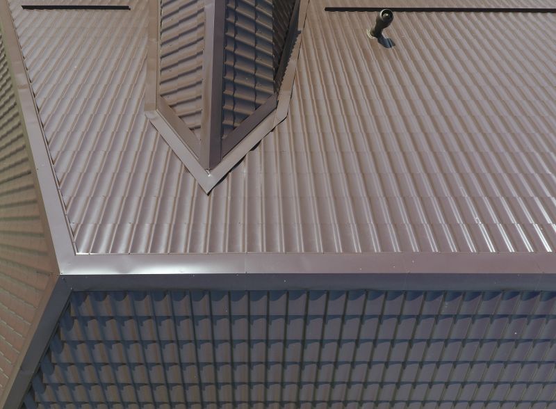 Metal Roofing Project