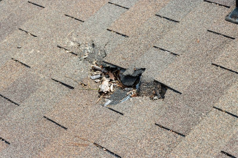 Shingles Replacement in Fredericksburg, VA